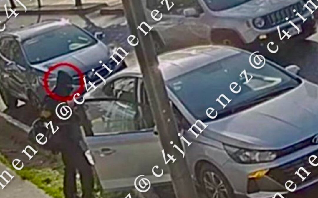 Las Noticias Más Importantes de C4 En Alerta: 11 de Diciembre de 2025