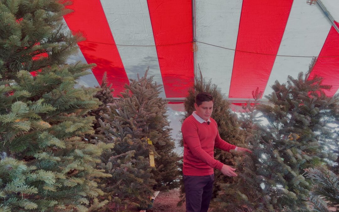 Impacto de los Precios Navideños en las Familias de Los Ángeles