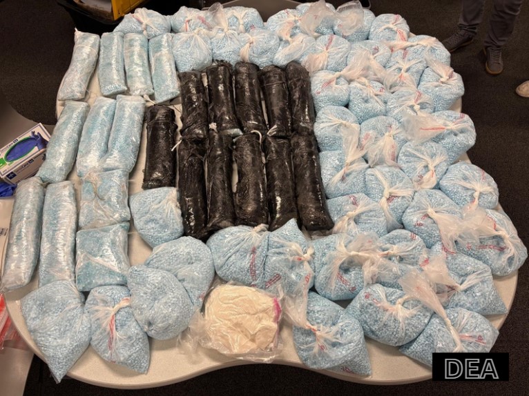 Alerta en Colorado por el peligroso carfentanil: una droga más letal que el fentanilo