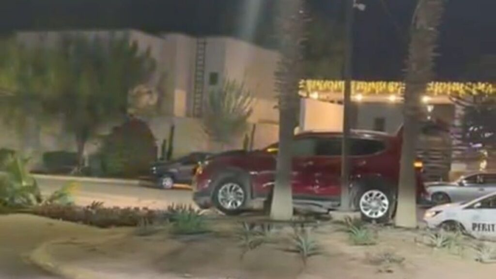 Accidente en Viñedos: Conductor abandona camioneta tras derribar palma en camellón