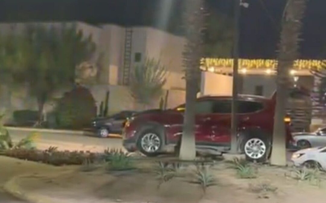 Accidente en Viñedos: Conductor abandona camioneta tras derribar palma en camellón