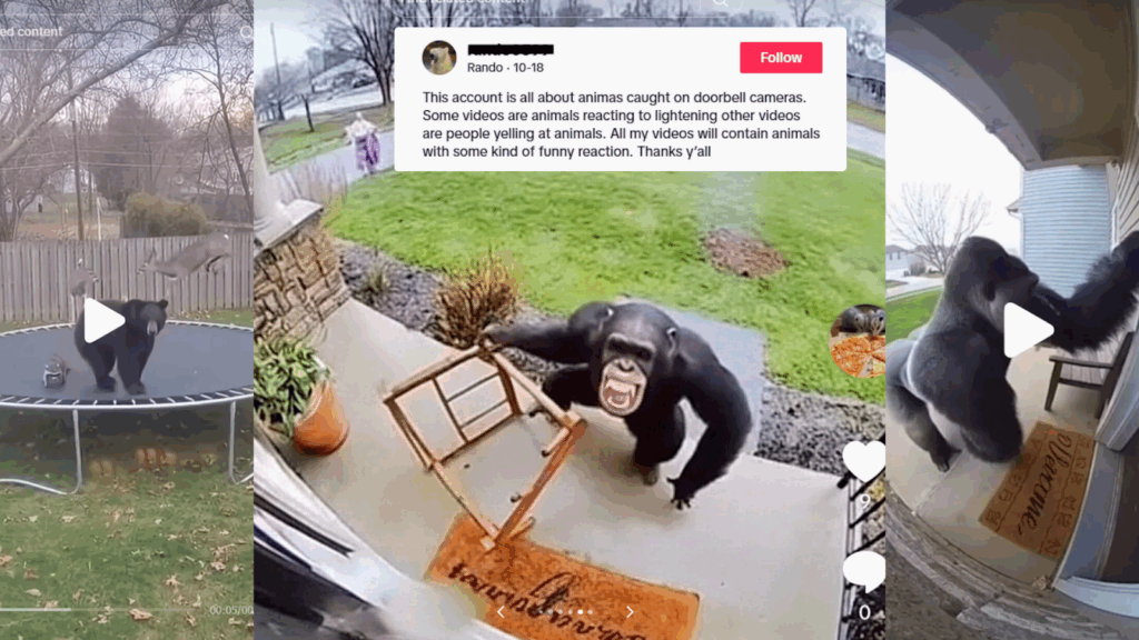 Zoológico del Condado de Sedgwick advierte sobre los peligros del contenido generado con inteligencia artificial