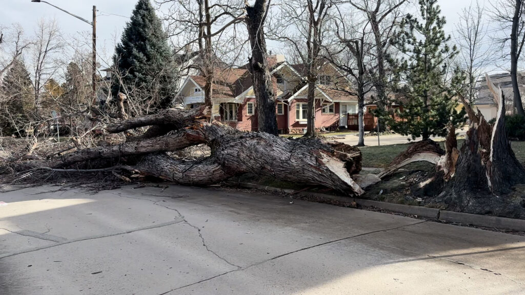 Vientos Fuertes en Colorado: Precauciones Esenciales Ante Riesgos