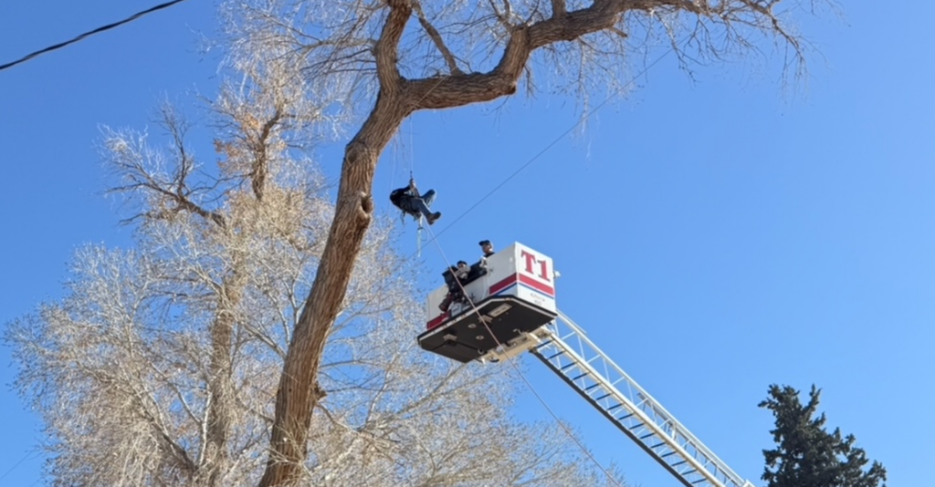 Rescate en árbol: Bomberos de Las Cruces salvan a empleado atrapado en Doña Ana