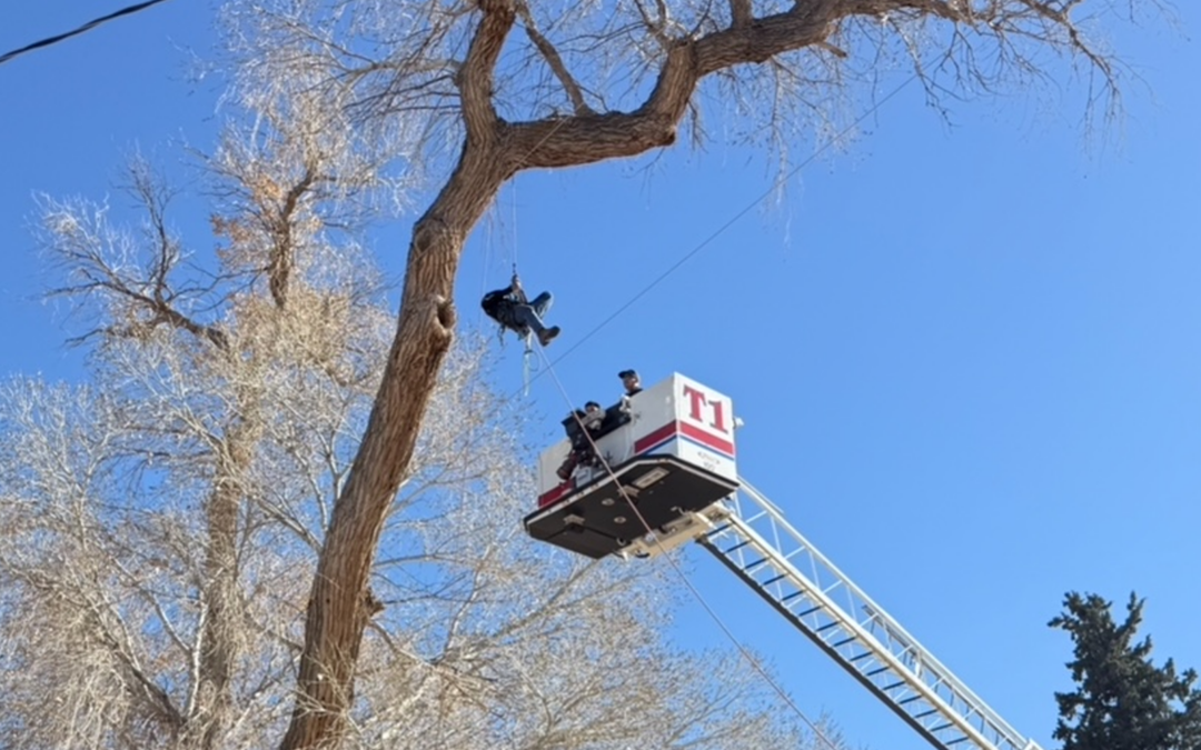 Rescate en árbol: Bomberos de Las Cruces salvan a empleado atrapado en Doña Ana