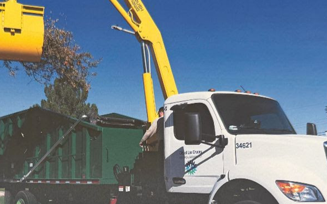 Horarios de Navidad y Año Nuevo 2026 en Las Cruces: Servicios y Cierres