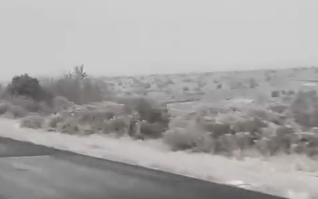 Retrasos Escolares en Nuevo México por Tormenta Invernal