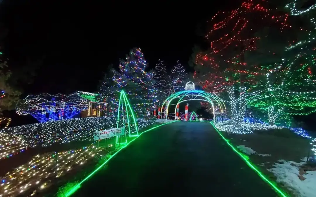 El Festival de Luces de Franktown Cierra Antes de lo Previsto por Multitudes Récord