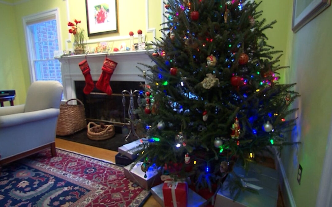 Consejos para Aumentar la Seguridad en el Hogar y Proteger a Nuestros Menores