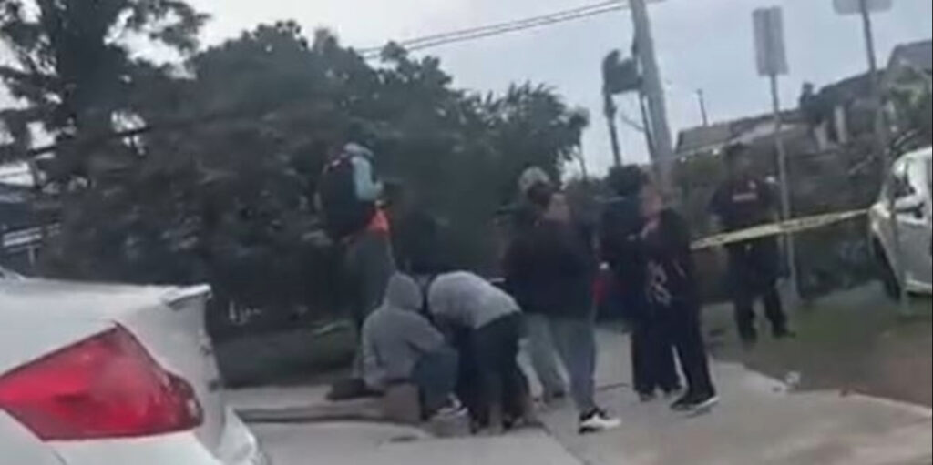 Muerte por caída de árbol en City Heights: tragedia en San Diego