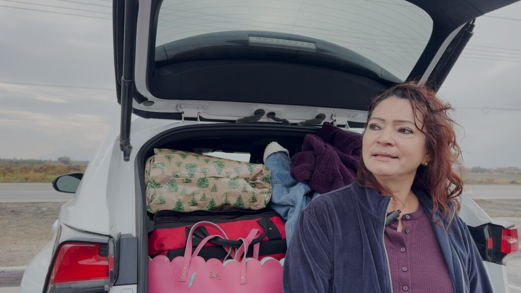 Viajes Navideños: Preparación y Seguridad en el Camino a Los Ángeles