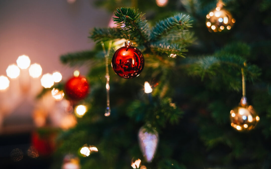 Reciclaje de árboles de Navidad: Participa en TreeCycle 2025-2026 en Denver