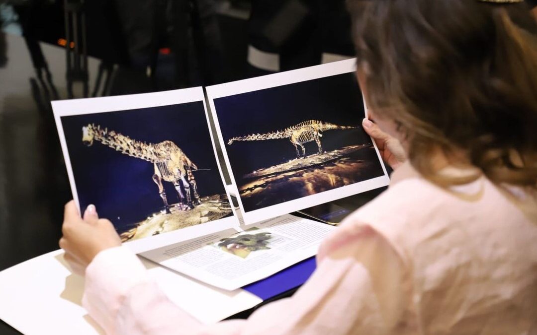 Fósil ‘Einstein’: San Pedro Garza García Aclara su Prestamo al Municipio