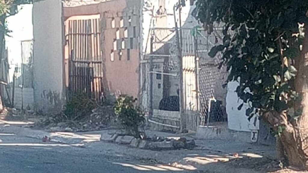 Quintas los Nogales: Preocupación por Perros Agresivos y Abandono de Espacios Públicos en Torreón