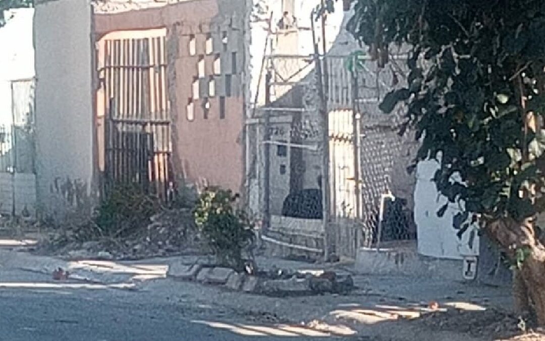 Quintas los Nogales: Preocupación por Perros Agresivos y Abandono de Espacios Públicos en Torreón