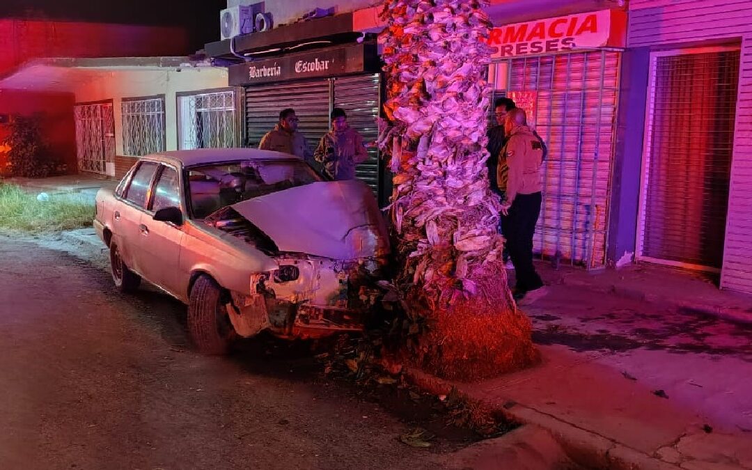 Accidente Automovilístico en Torreón: Menores de Edad Estrellan Automóvil Contra una Palma y Resultan con Fracturas