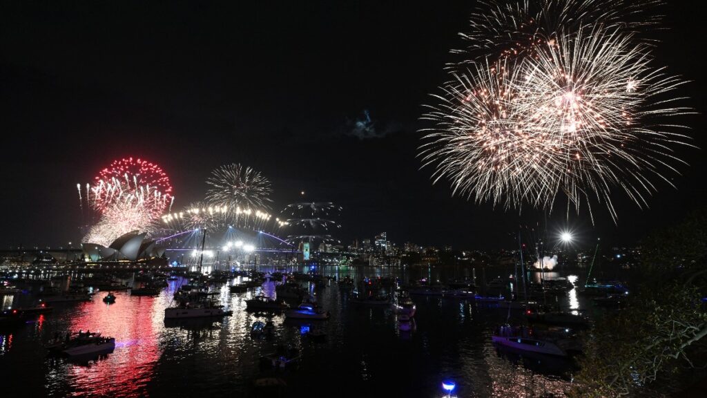 Alemanes Buscan Refugio en Aeropuerto con Sus Perros para Escapar de la Pirotecnia