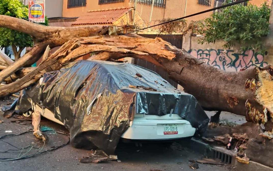 Sismo en San Marcos Guerrero: Más de 30 Inmuebles Afectados en CdMx, 2 en Peligro de Colapso
