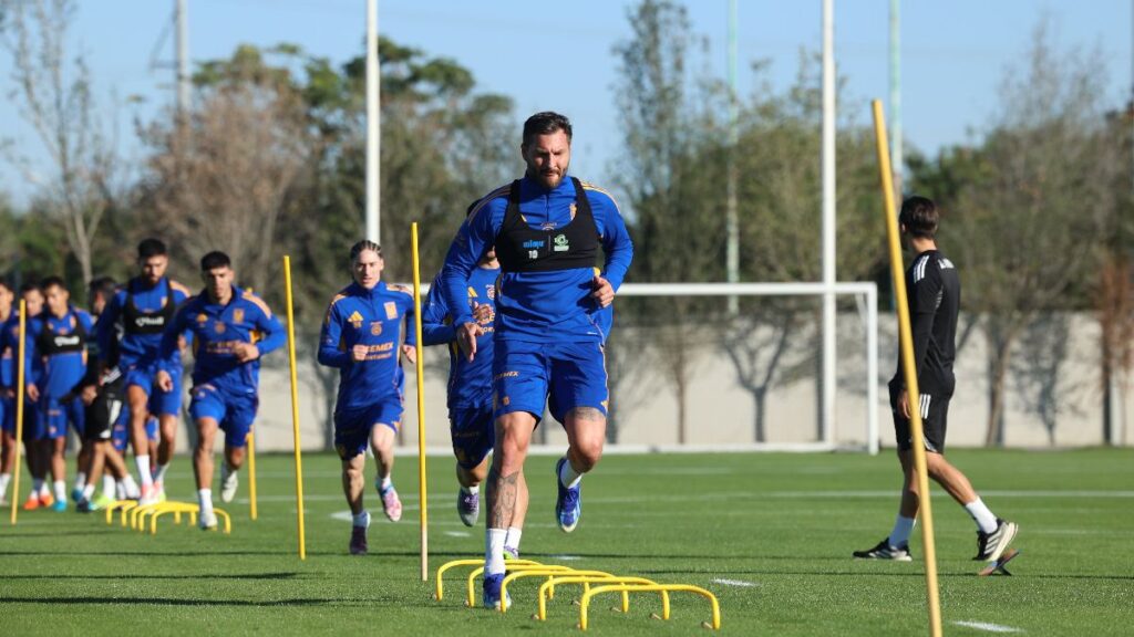 Tigres Inicia Entrenamientos para la Jornada 1 ante Atlético San Luis: Jugadores que Falta por Reportar