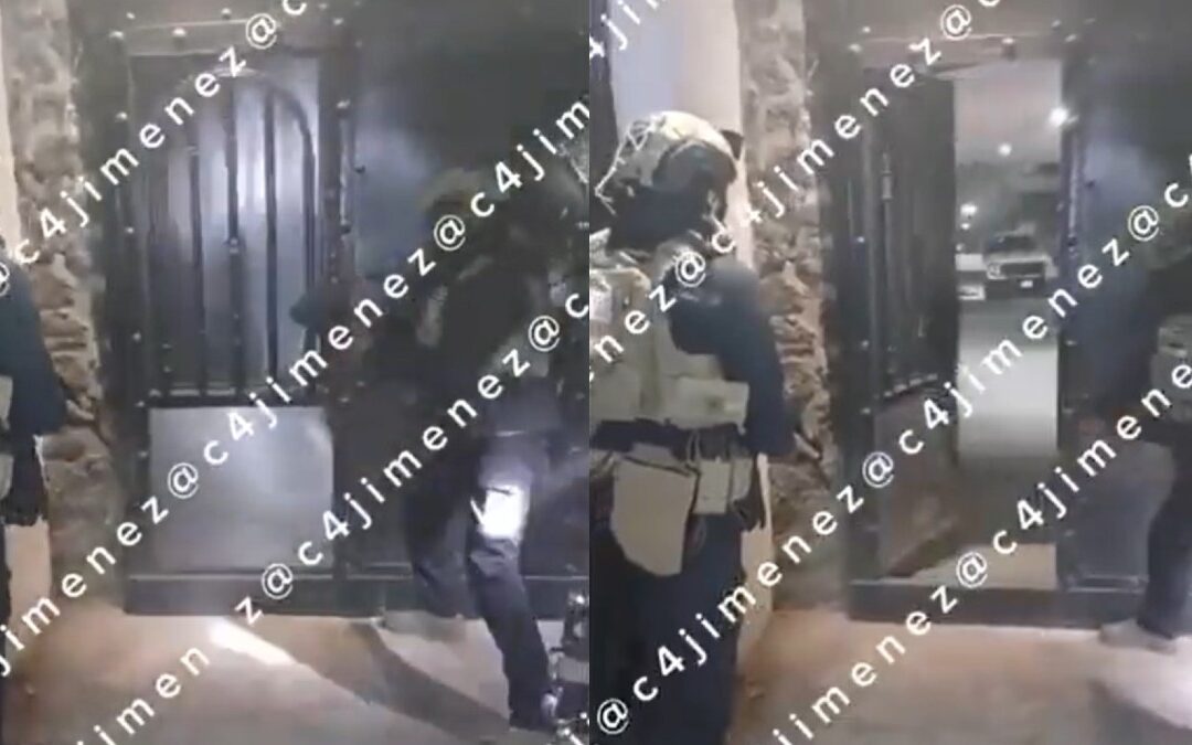 Rescatan Perritos Durante Operativo en Xochimilco: Se Descubren Armas y Drogas del Cártel de Sinaloa